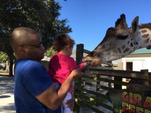 Emerson feeding the giraffe